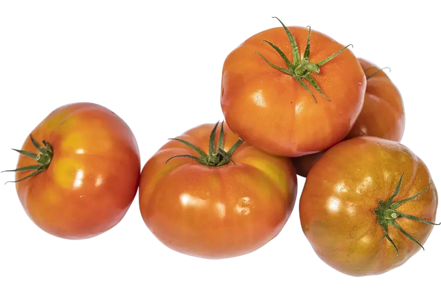 Marmande tomaat kist 3 kilogram